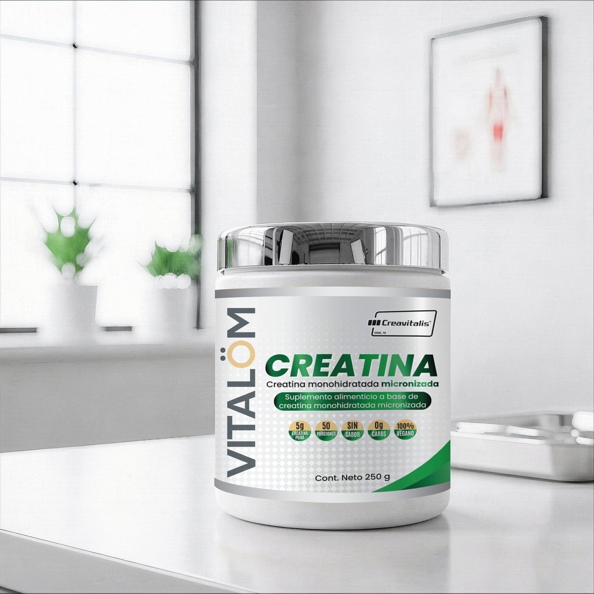 Creatina